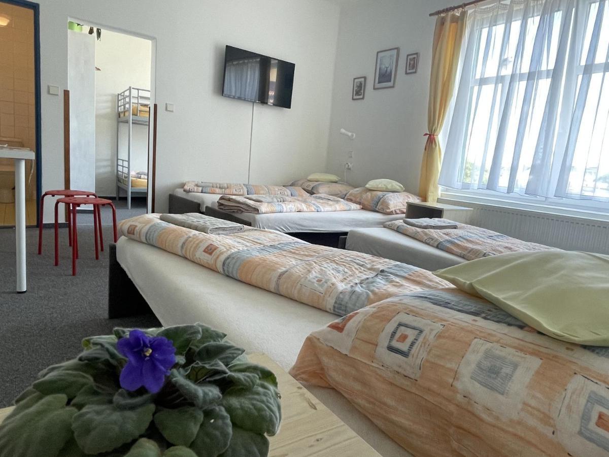 Penzion Slunecnice Dvůr Králové nad Labem Buitenkant foto