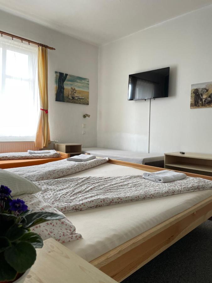 Penzion Slunecnice Dvůr Králové nad Labem Buitenkant foto